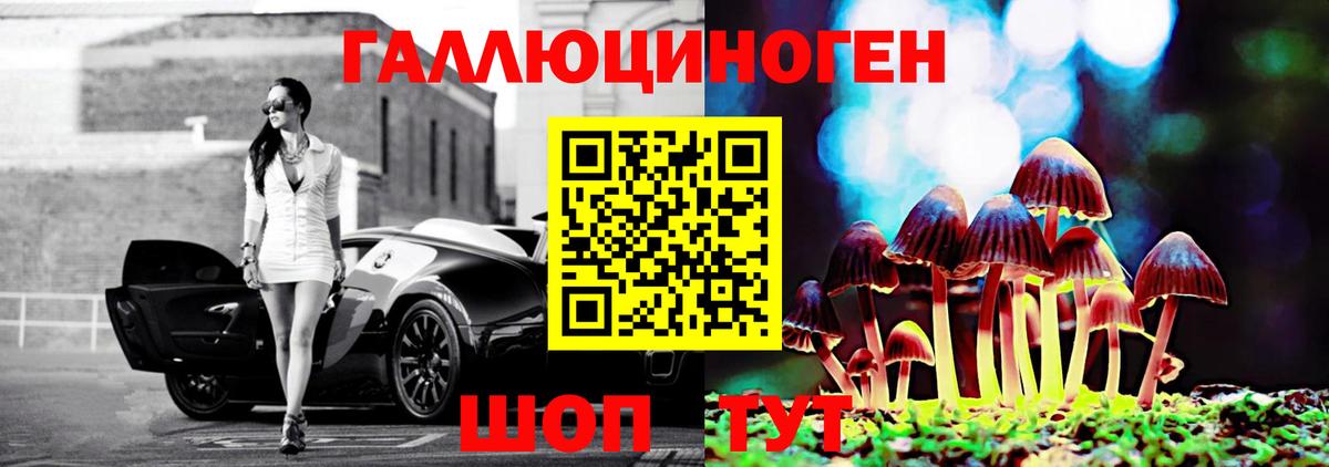 Псилоцибиновые грибы прущие грибы  Псилоцибиновые грибы ЛСД  Вход с VPN  Искитим 